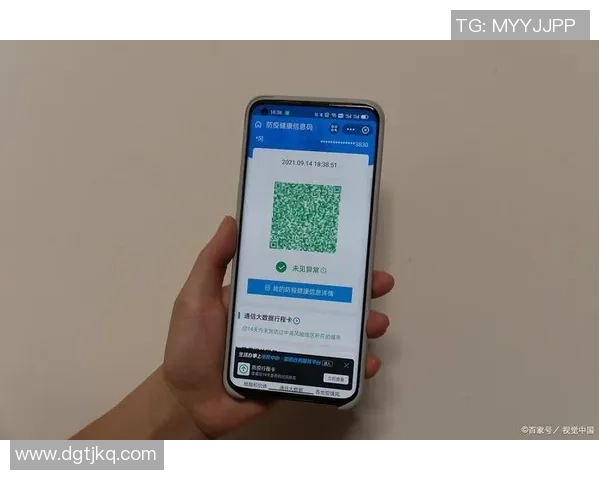 vs通行码价格揭秘及购买渠道详解让你轻松出行无忧