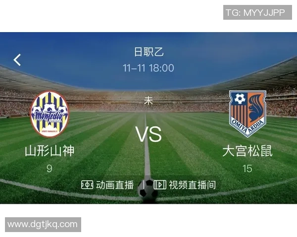 大宫松鼠与山行山神的奇幻对决探索自然与神秘的交织之旅