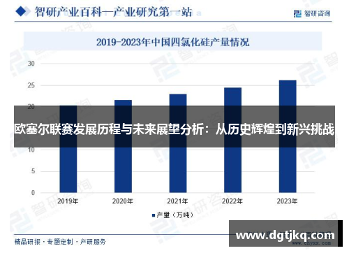 欧塞尔联赛发展历程与未来展望分析：从历史辉煌到新兴挑战