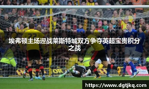 埃弗顿主场迎战莱斯特城双方争夺英超宝贵积分之战