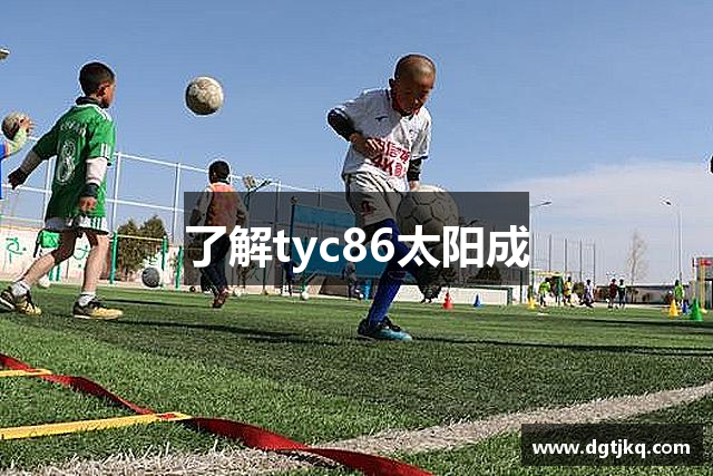 了解tyc86太阳成